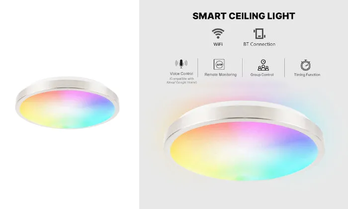 11-inch Smart Ceiling Light 15W