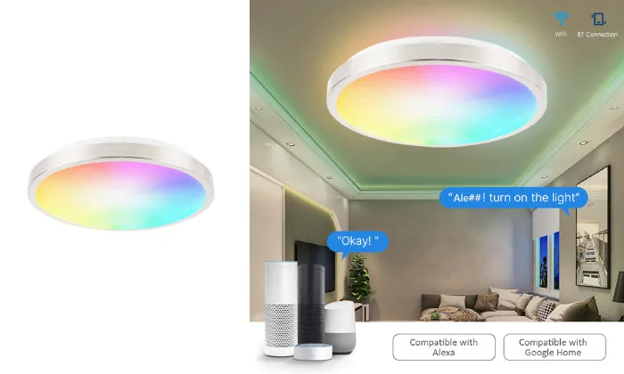 11-inch Smart Ceiling Light 15W