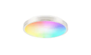 11-inch Smart Ceiling Light 15W