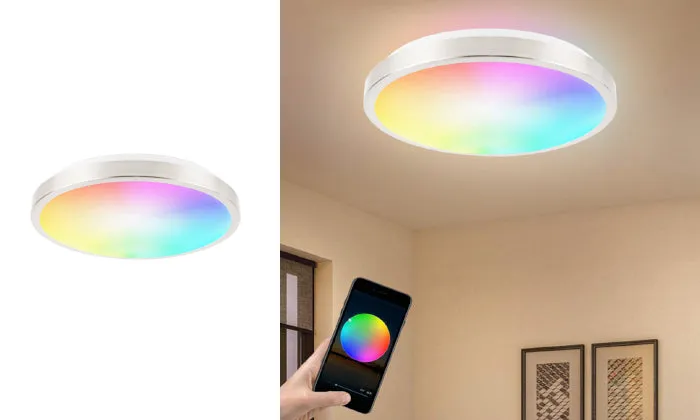 11-inch Smart Ceiling Light 15W