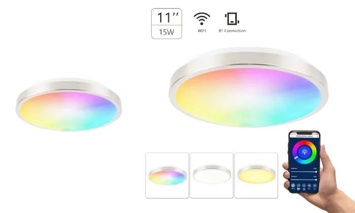 11-inch Smart Ceiling Light 15W