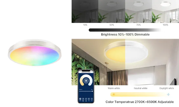 11-inch Smart Ceiling Light 15W