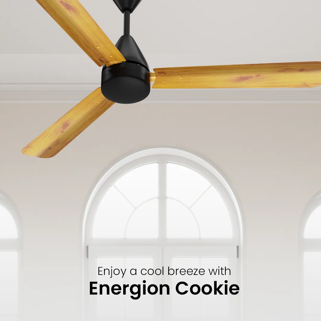 Crompton Energion Cookie BLDC Ceiling Fan