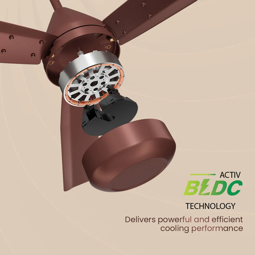 Crompton Energion Cookie BLDC Ceiling Fan