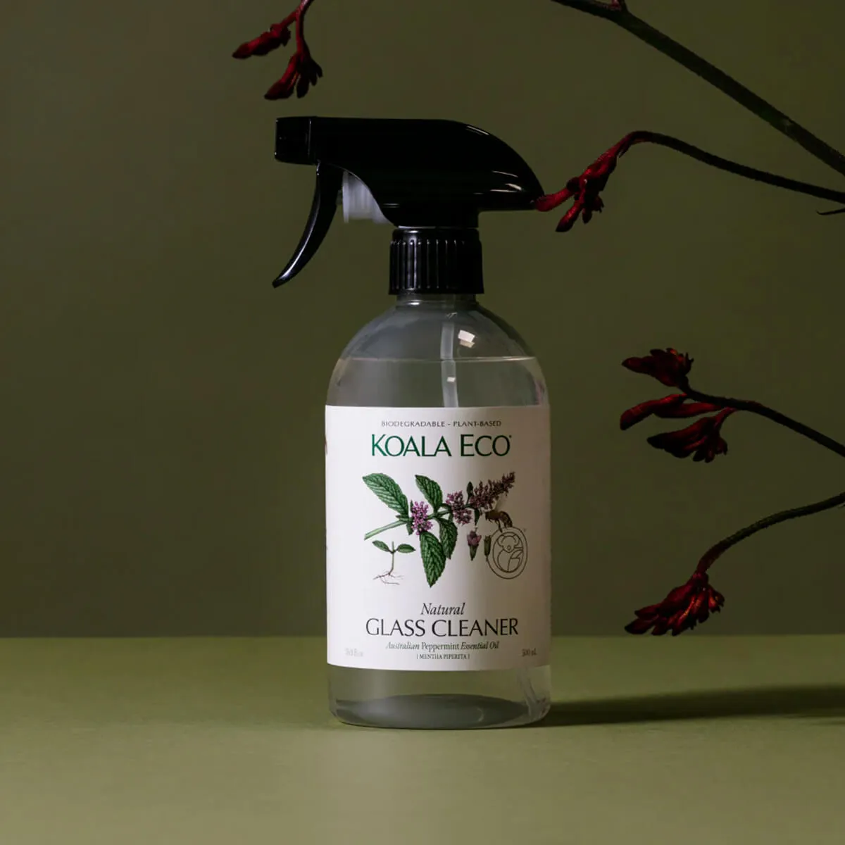 Natural Glass Cleaner